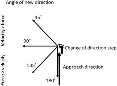 Effect of Approach Distance and Change of Direction Angles Upon Step and Joint Kinematics, Peak Muscle Activation, and Change of Direction Performance